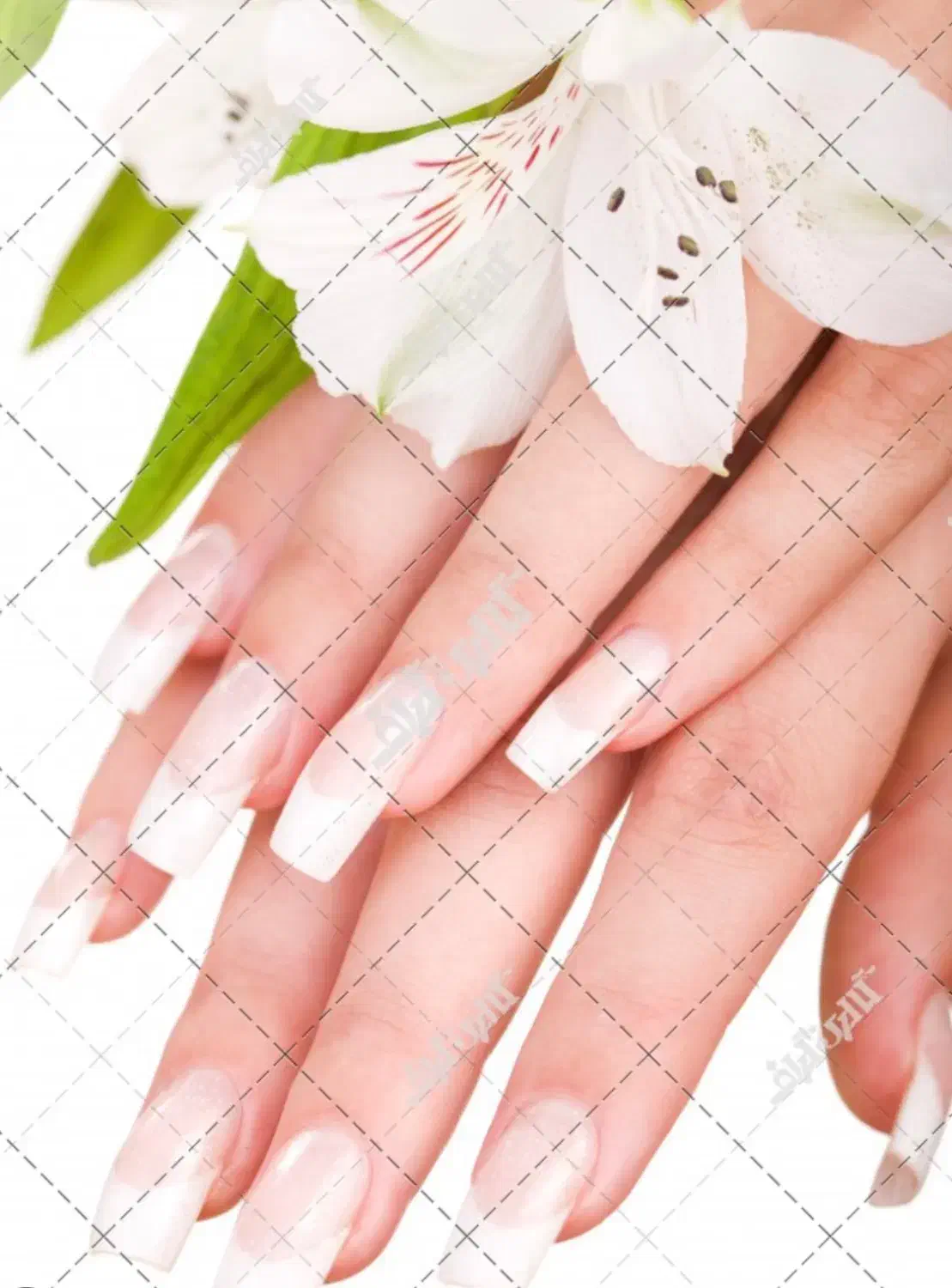 خدمات کاشت ناخن|خدمات آرایشگری و زیبایی|بندرعباس, |دیوار