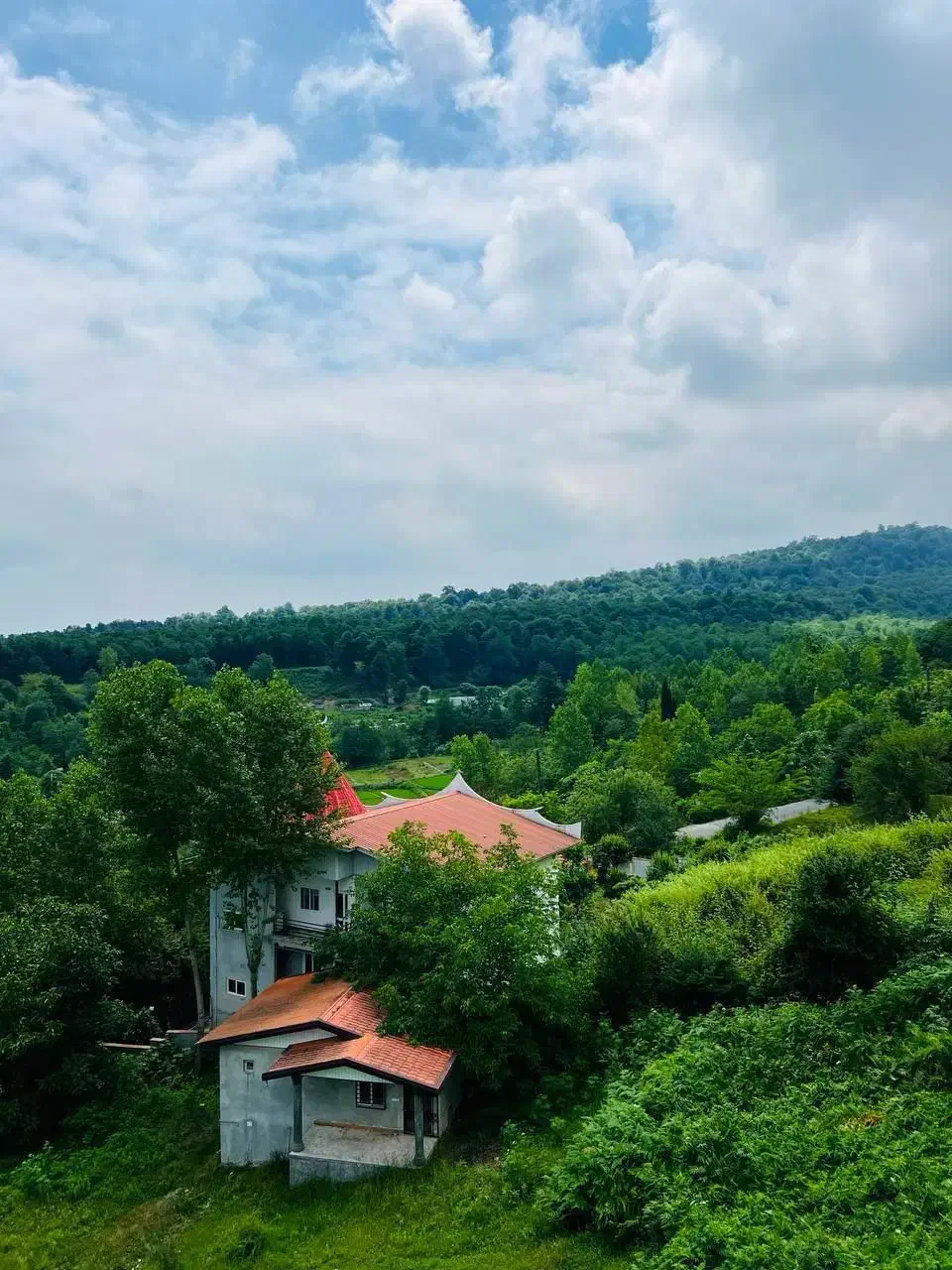 زمین‌جنگلی‌کوهستانی200متری+سندعرصه‌عیان+ویو‌جنگل|فروش زمین و ملک کلنگی|چمستان, |دیوار