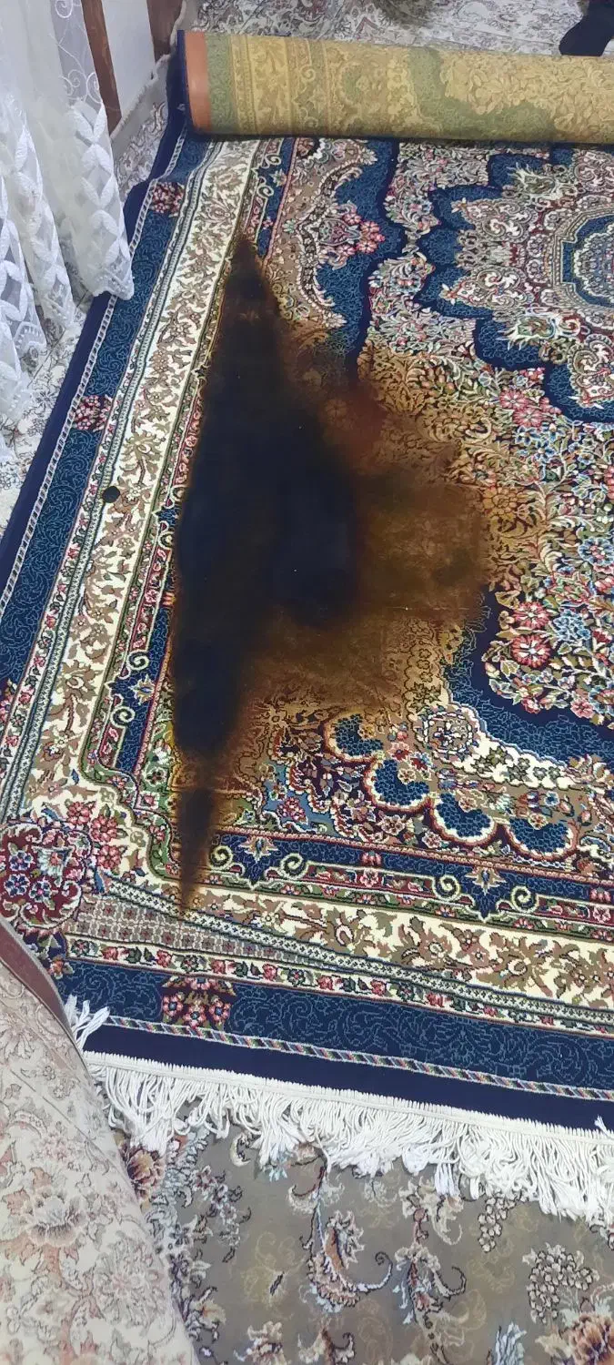 فرش شش متری وکناره|فرش|کرمانشاه, |دیوار