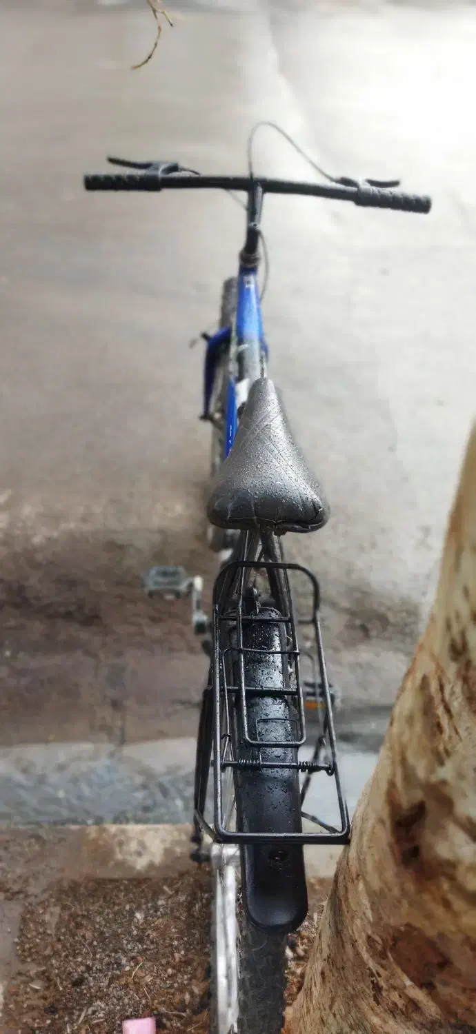 دوچرخه ۲۶|دوچرخه، اسکیت، اسکوتر|قم, کلهری|دیوار