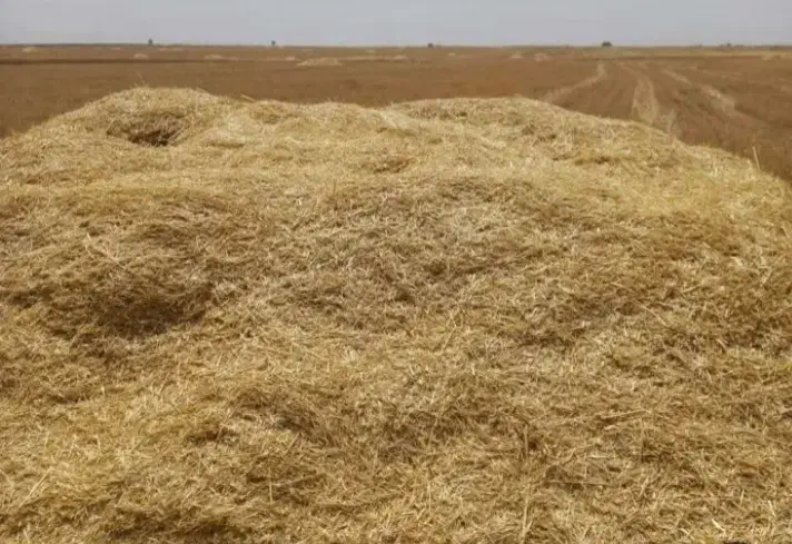 کاه۵ تن|لوازم جانبی حیوانات|ایواوغلی, |دیوار