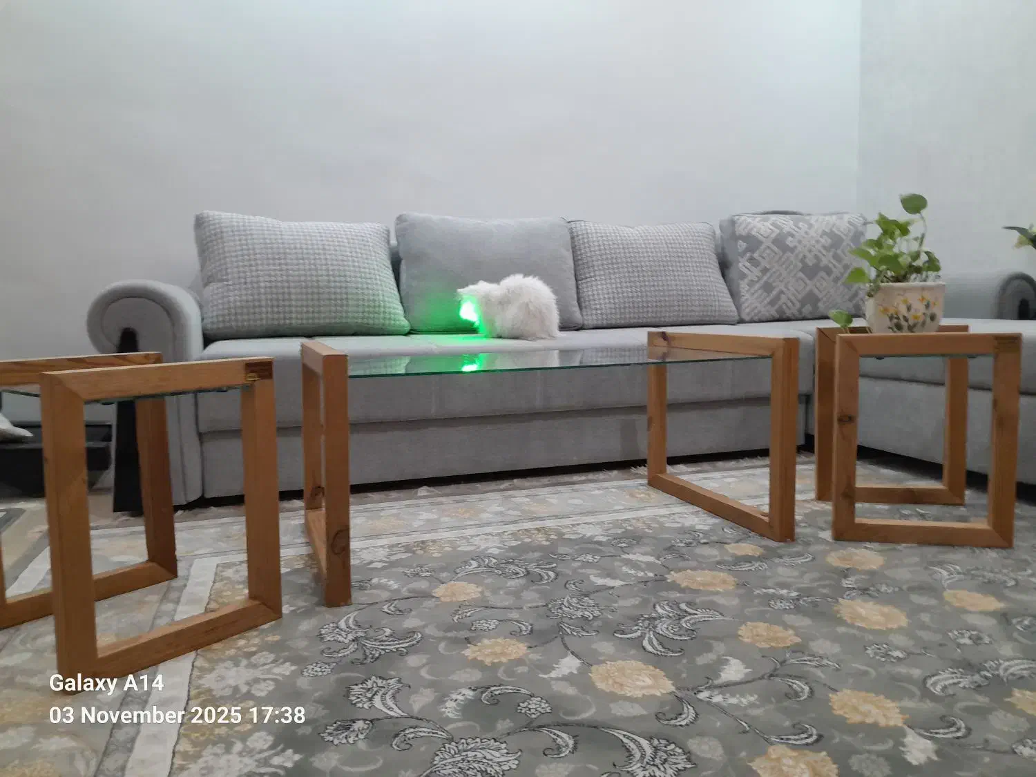 میز جلو مبلی۱عدد میز عسلی۲عدد|مبلمان خانگی و میز عسلی|دماوند, گیلاوند|دیوار