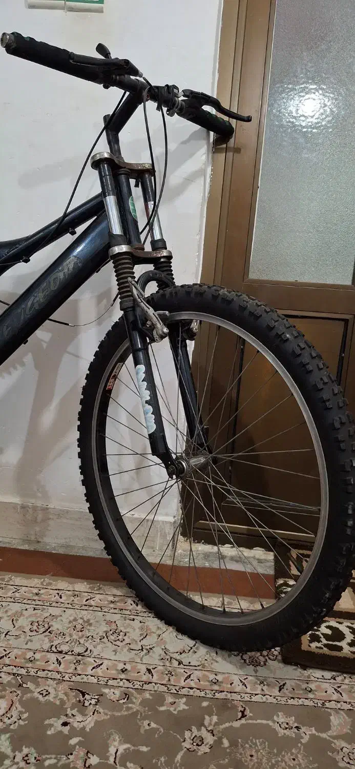 دوچرخه|دوچرخه، اسکیت، اسکوتر|آستانه اشرفیه, |دیوار