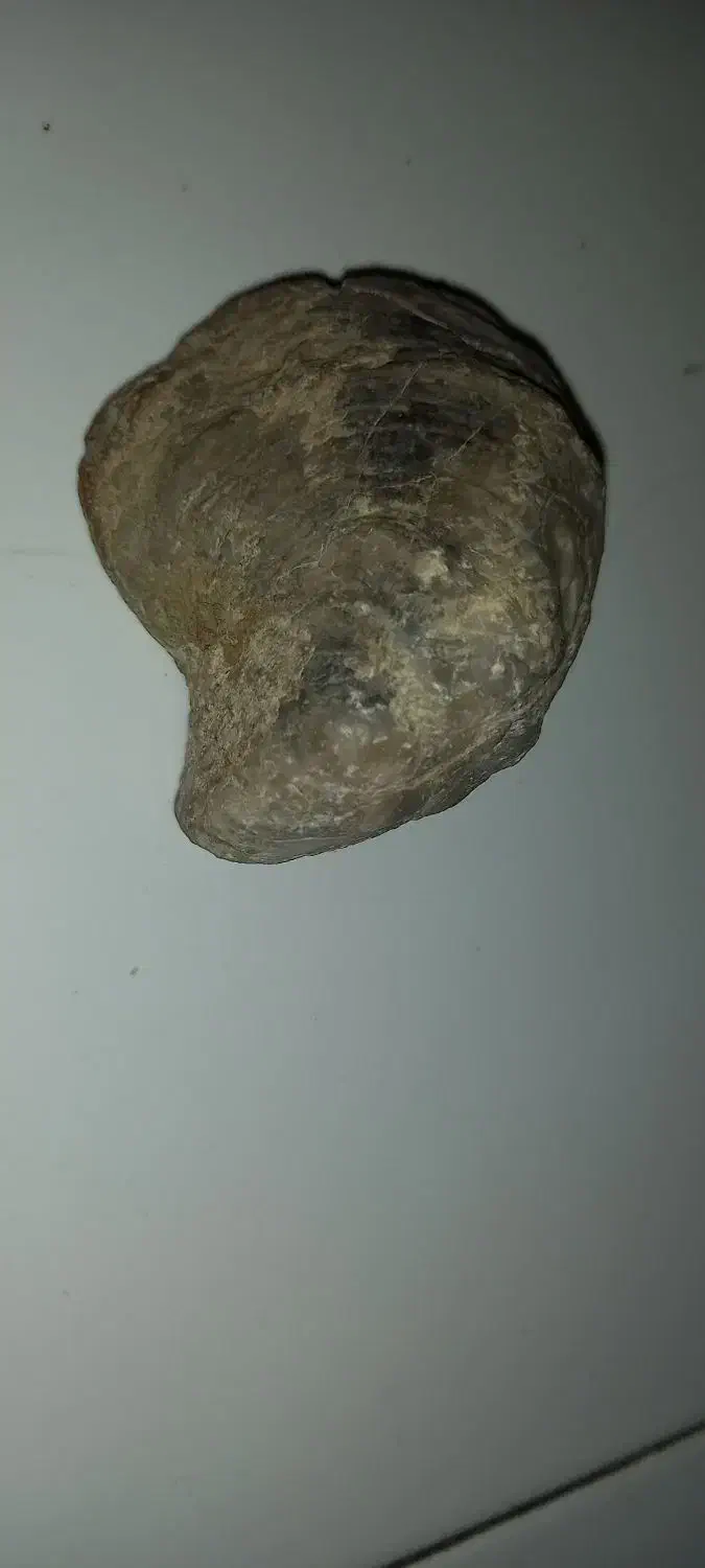 سنگ فصیل|کلکسیون اشیاء عتیقه|کمیجان, |دیوار