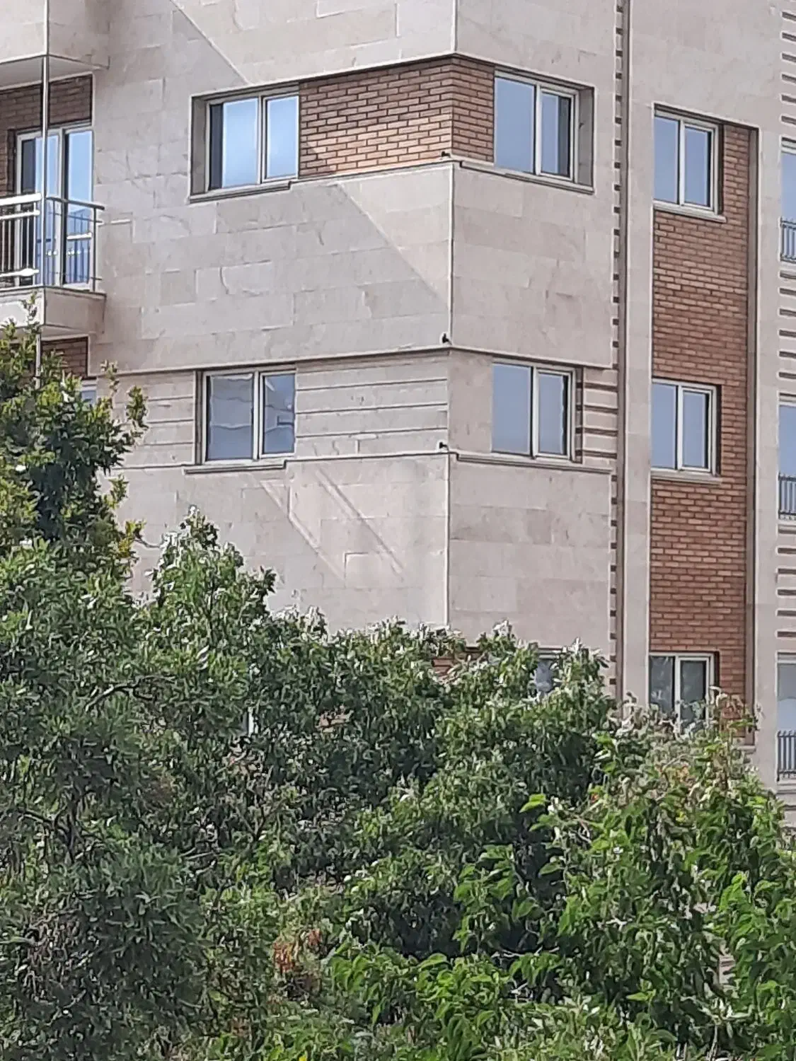 بیست هکتار زمین کشاورزی و گلخانه|فروش دفتر صنعتی، کشاورزی، تجاری|چهاردولی, |دیوار