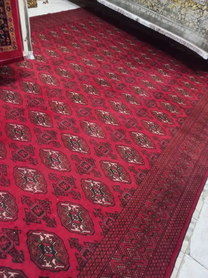 فرش و قالیچه دستباف|فرش|بندرعباس, |دیوار