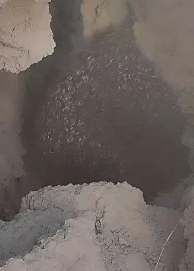 عسل کوهی (وحشی)|خوردنی و آشامیدنی|شیراز, شهرک قمشه|دیوار