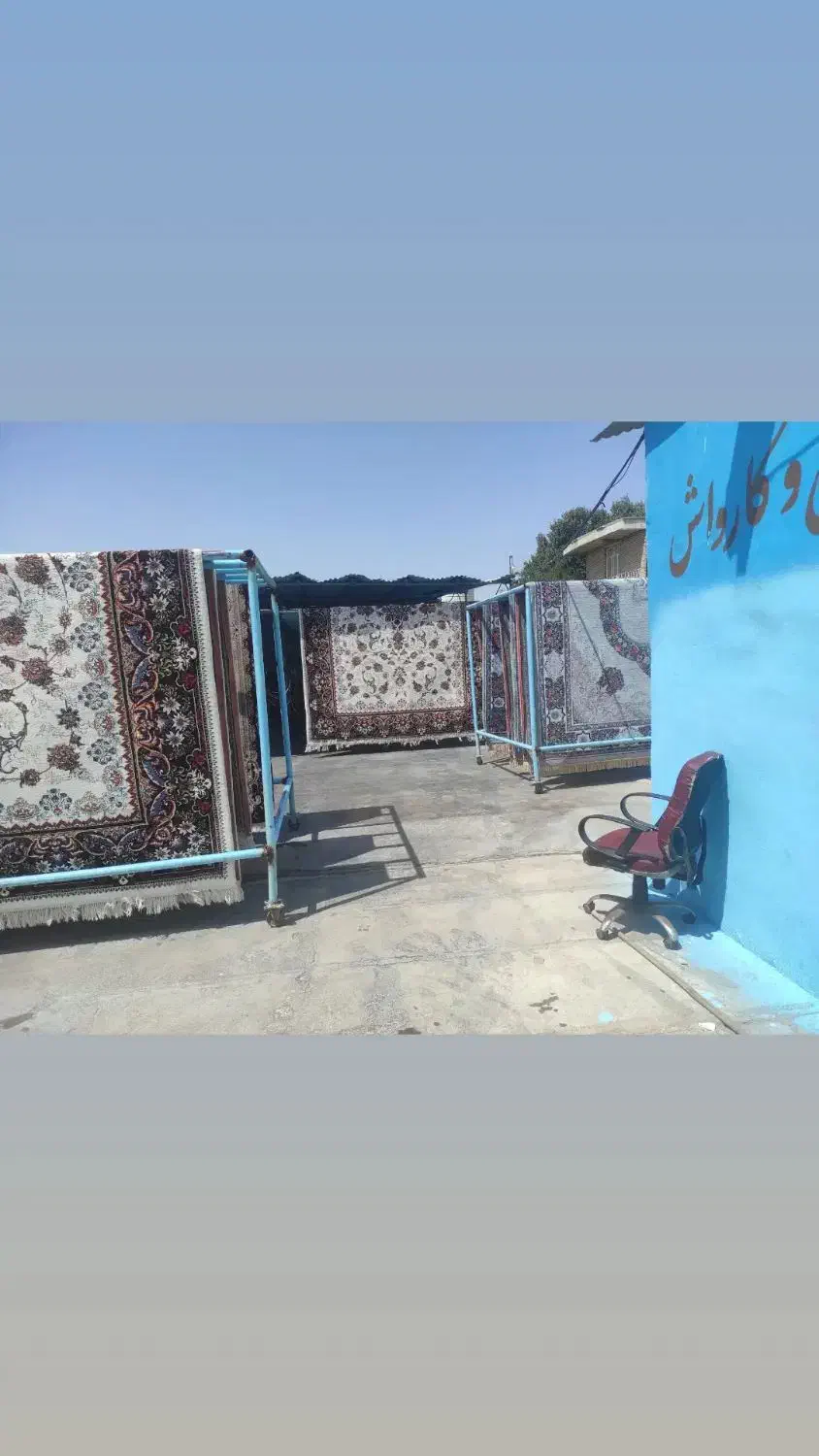 قالی شویی|خدمات نظافت|ایذه, |دیوار