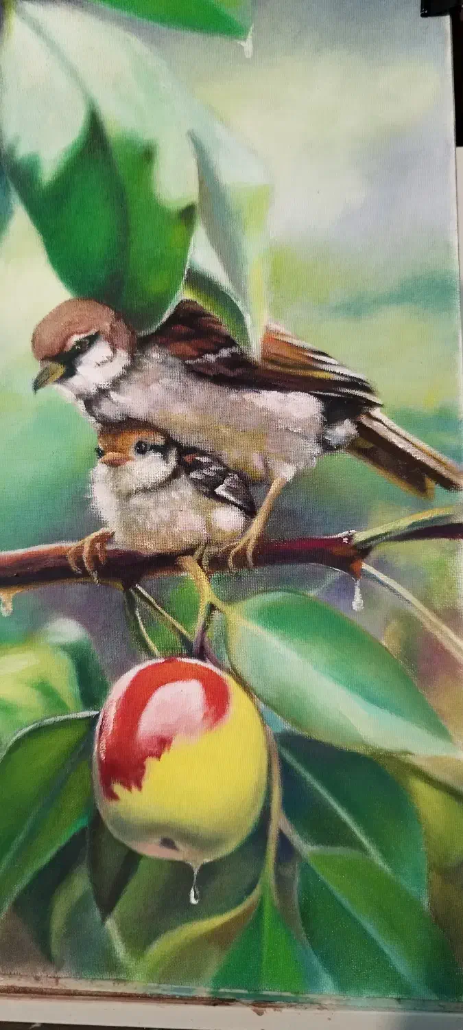 آموزش طراحی و نقاشی|خدمات آموزشی|چالوس, |دیوار