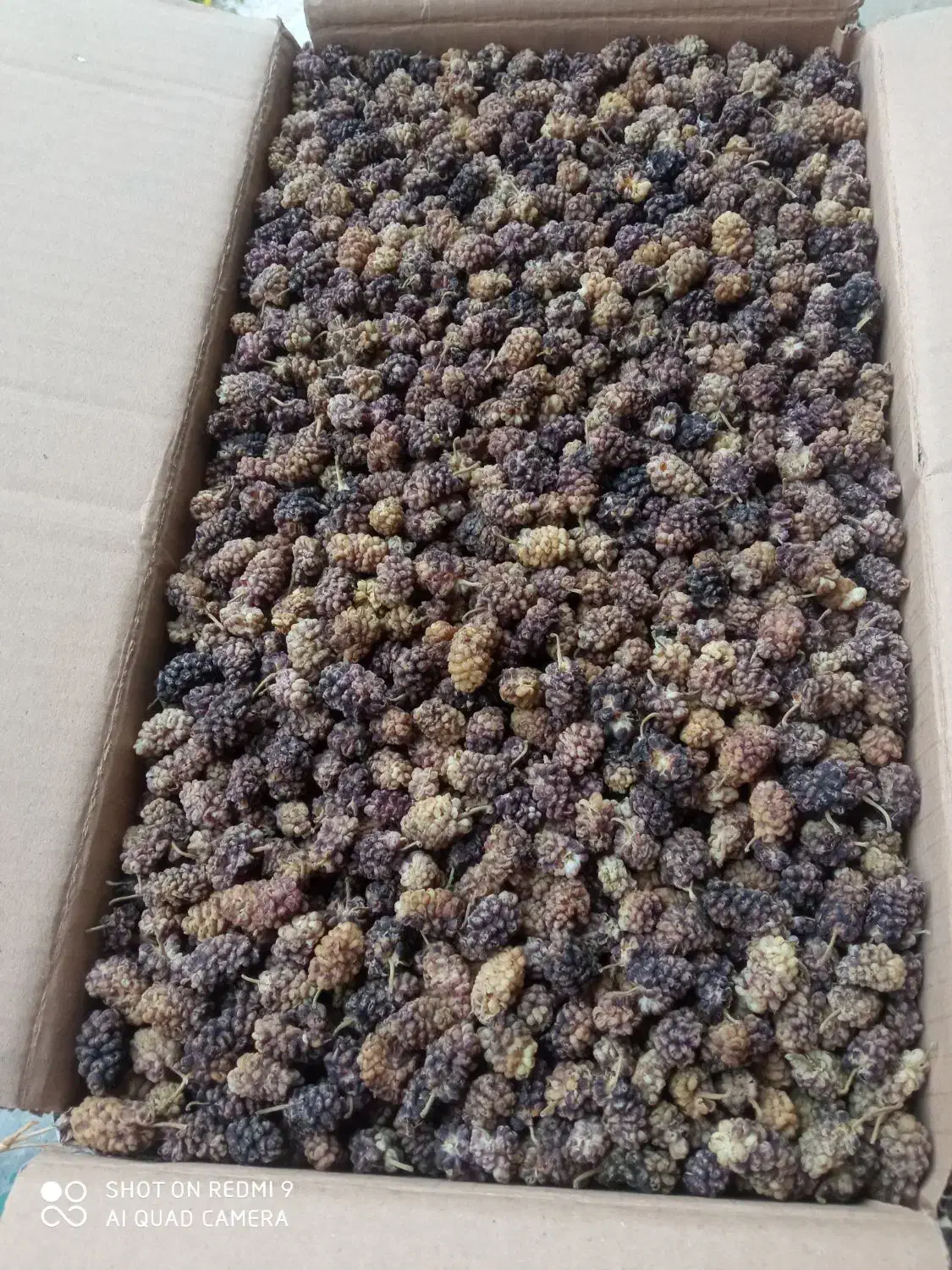 توت خشک|خوردنی و آشامیدنی|موچش, |دیوار