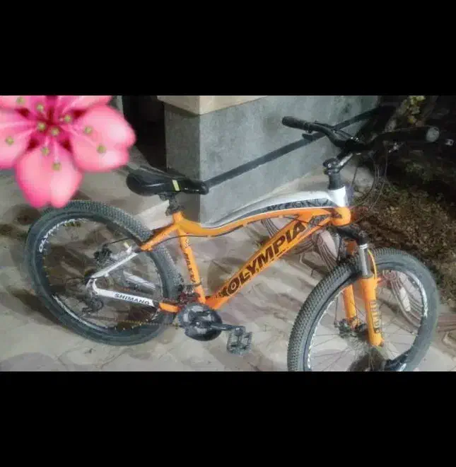 دوچرخه ۲۶ المپیک خیلی کم استفاده شده  درحد نو|دوچرخه، اسکیت، اسکوتر|شیراز, جمال آباد|دیوار