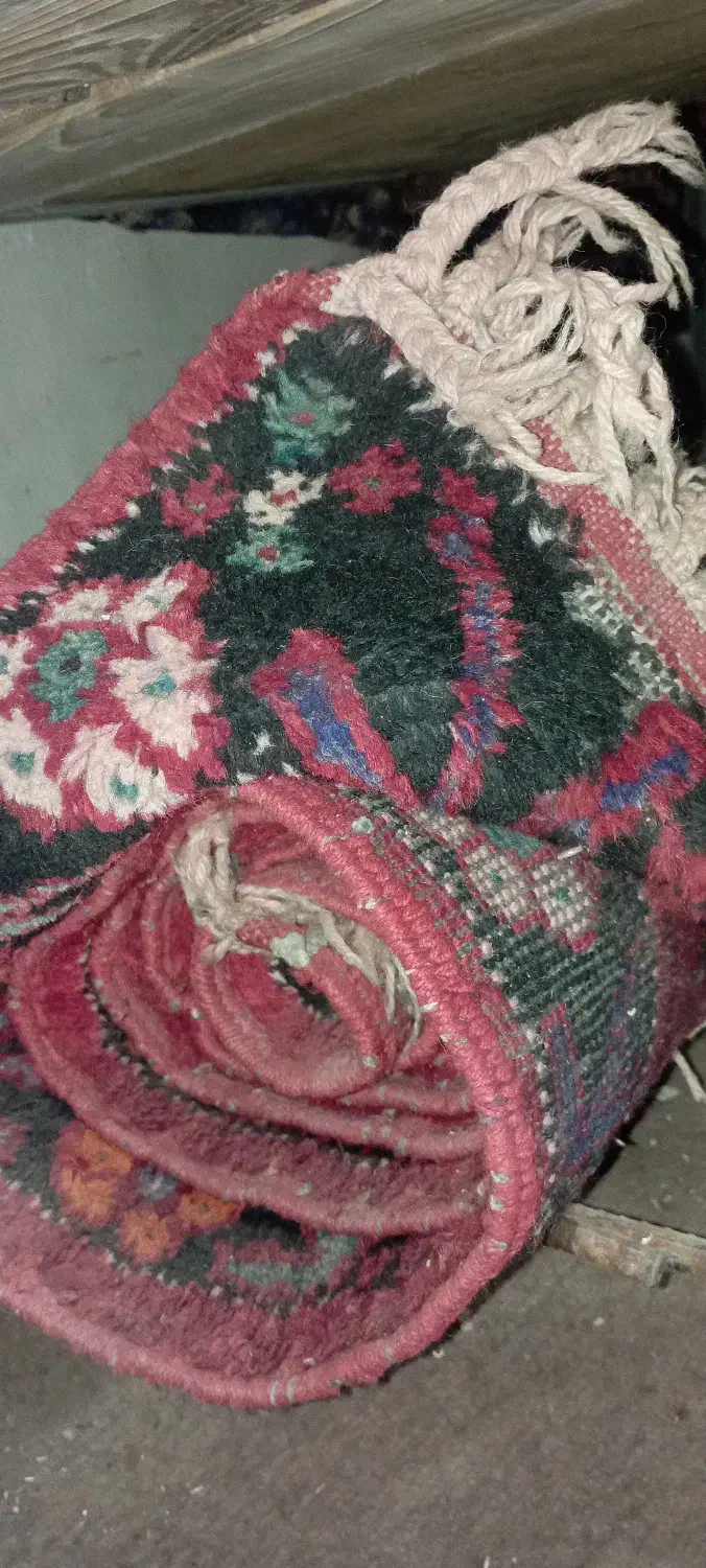 وسایل خانه و باغ و غیره..|فرش|بجنورد, |دیوار