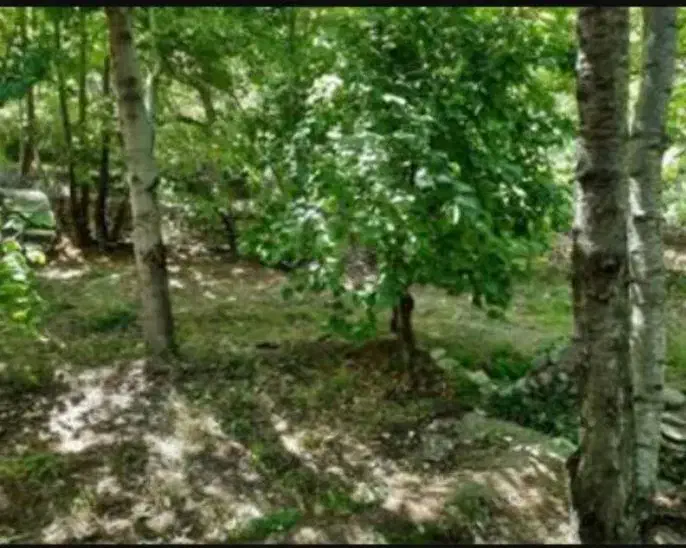 83متر زمین در سولقان|فروش زمین و ملک کلنگی|کن, |دیوار