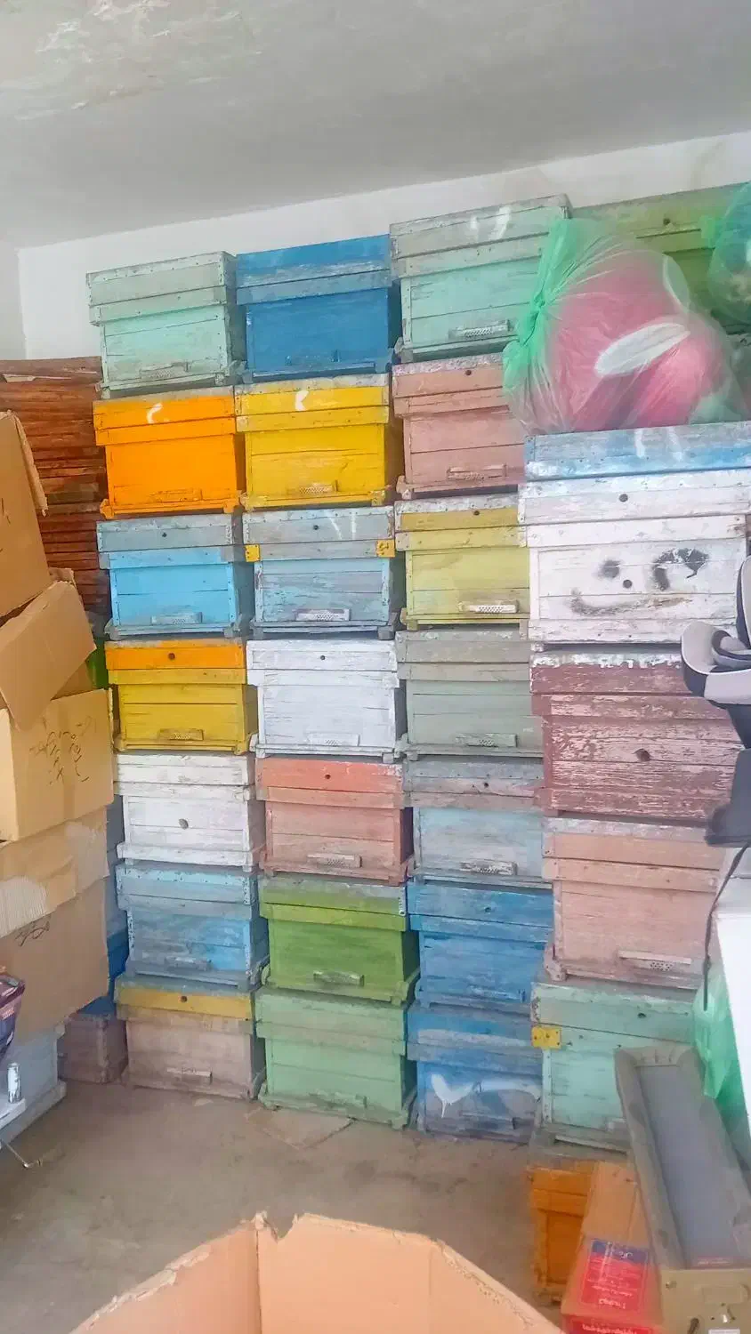 کندو تمیز رنگ‌دار|حیوانات مزرعه|دهدشت, |دیوار