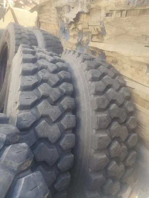 لاستیک جینیو سایز24|قطعات یدکی و لوازم جانبی|ری, شهید بهشتی|دیوار