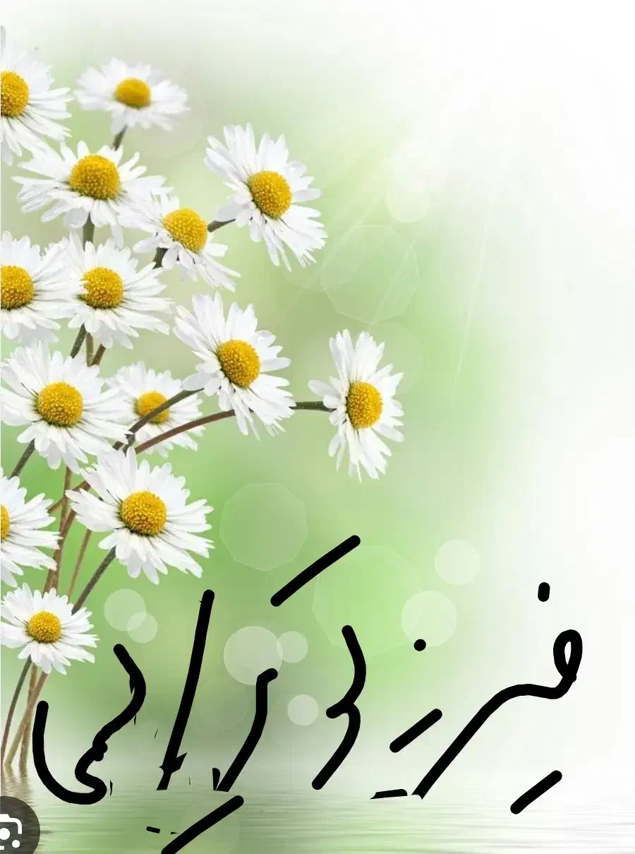 منشی مطب فیزیوتراپی|استخدام درمانی، زیبایی، بهداشتی|تهران, شهرآرا|دیوار