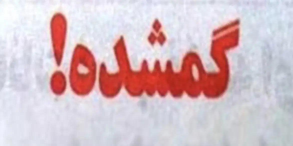 ایرپاد گم کردم|اشیا|سنندج, |دیوار