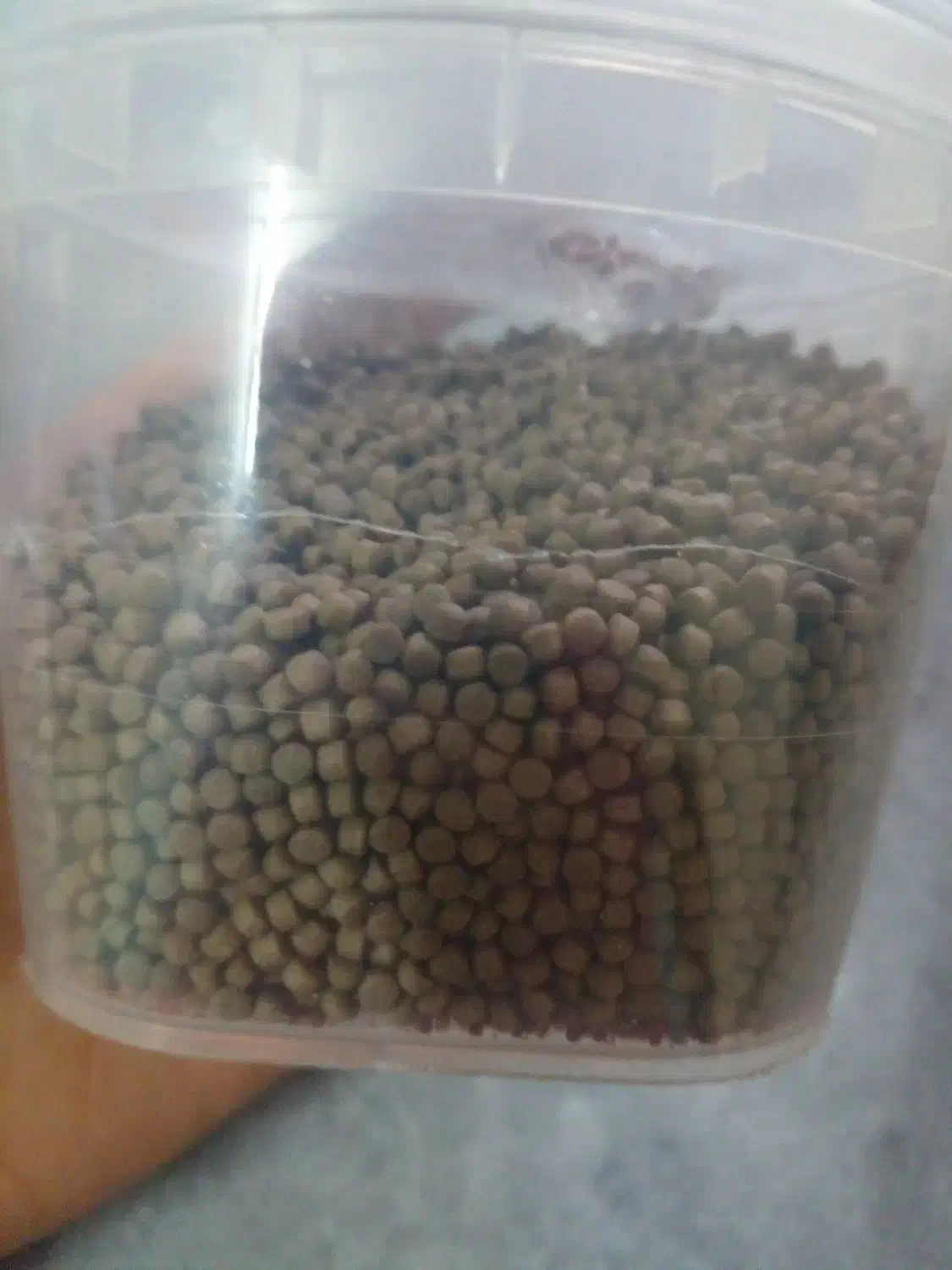 ماهی|ماهی|تهران, ارجمندی راد|دیوار