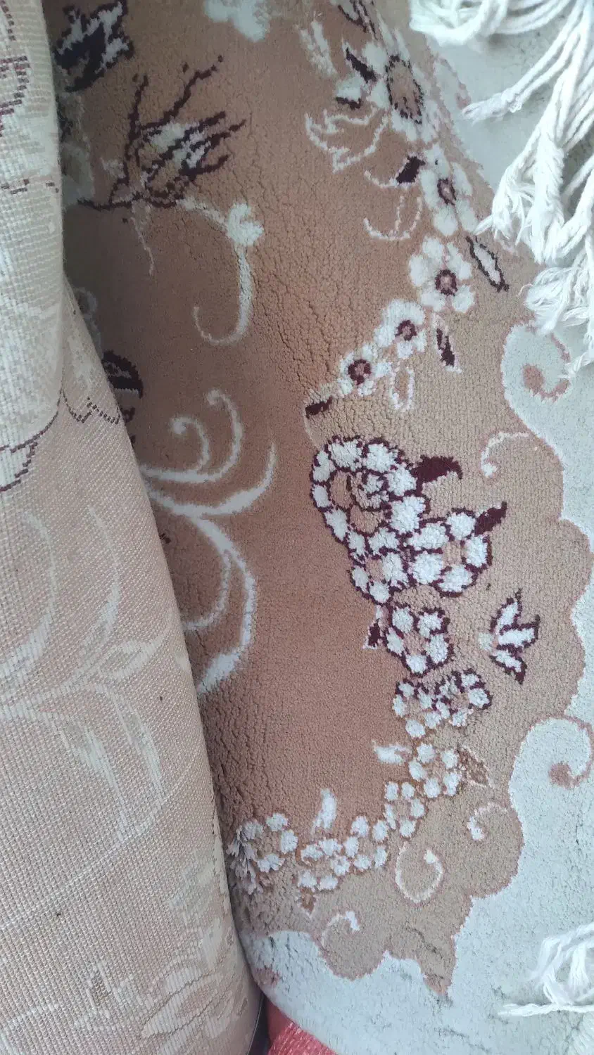 دوعدد فرش ۱۲ متری|فرش|بیرجند, |دیوار