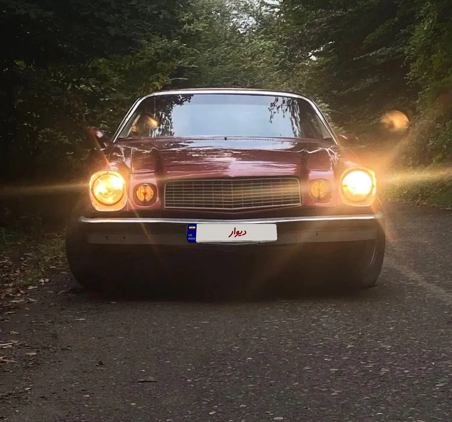 کامارو|خودرو کلاسیک|لاهیجان, شیشه گران|دیوار