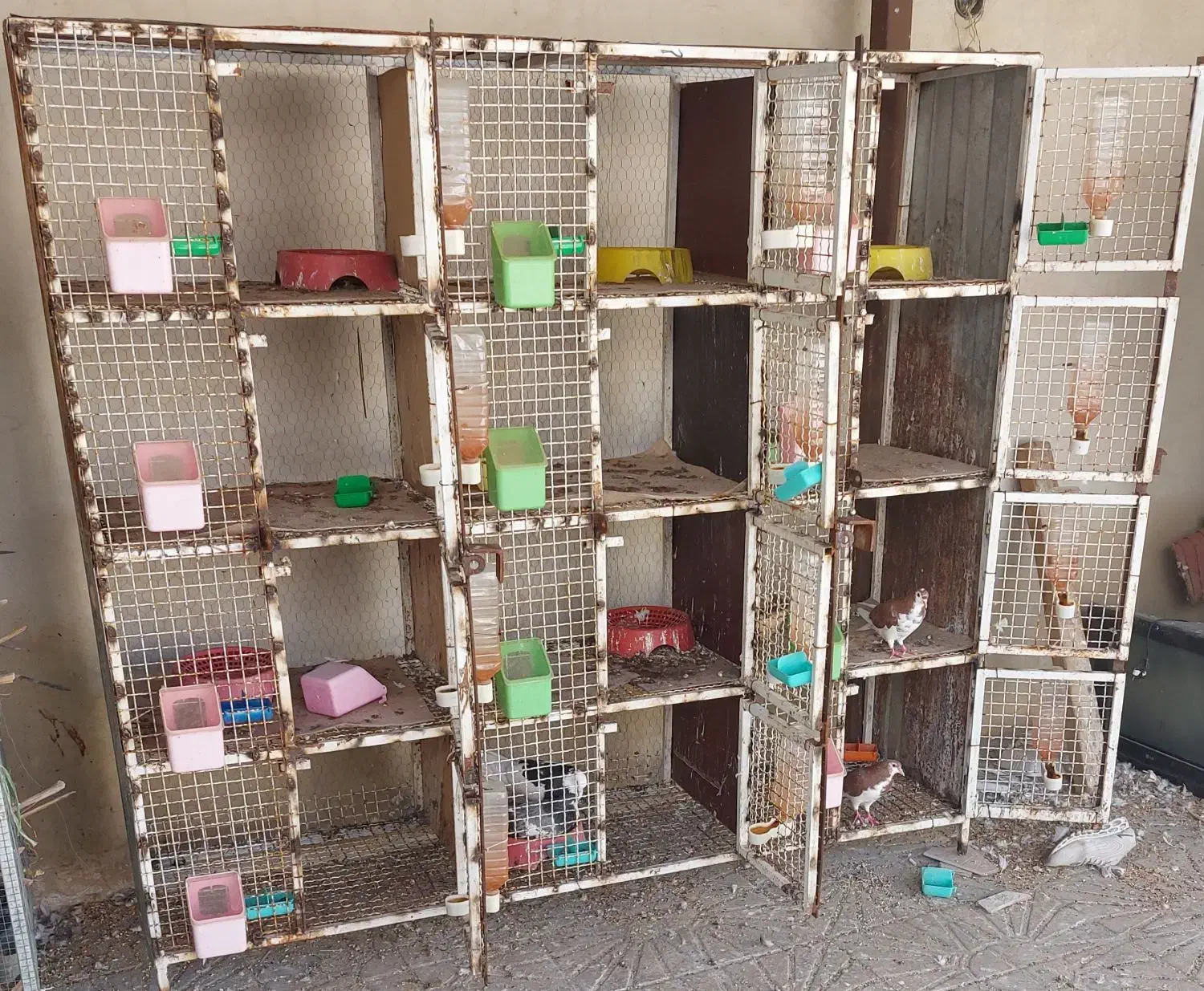 قفس بزرگ|لوازم جانبی حیوانات|کازرون, |دیوار