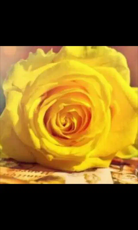 مدارک گمشده|اشیا|همدان, |دیوار