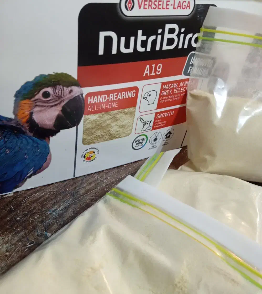 سرلاک آ۱۹|لوازم جانبی حیوانات|اسلام‌شهر, شهرک توحید|دیوار