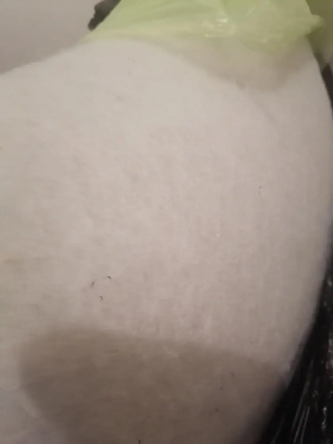 حراج لایه برای دوخت سرویس اشپزخونه|لوازم خیاطی و بافتنی|یزد, |دیوار