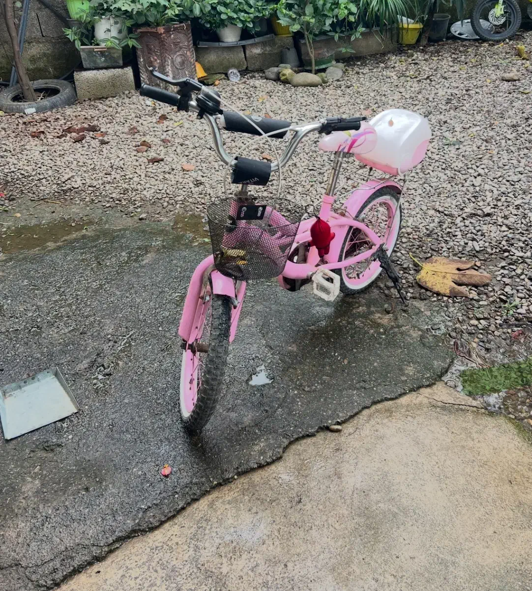 دوچرخه دخترانه|دوچرخه، اسکیت، اسکوتر|رشت, یخسازی|دیوار