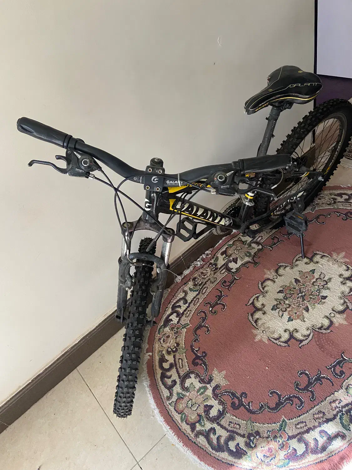 دوچرخه ۲۴|دوچرخه، اسکیت، اسکوتر|کوهسار (البرز), |دیوار