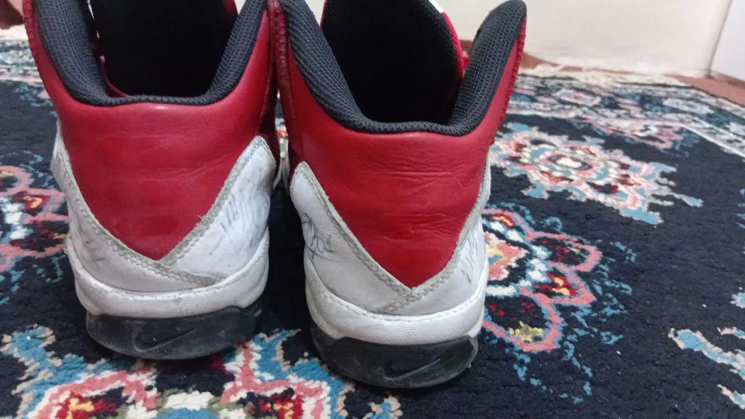 کفش نایک|کیف، کفش، کمربند|کرج, مصباح|دیوار