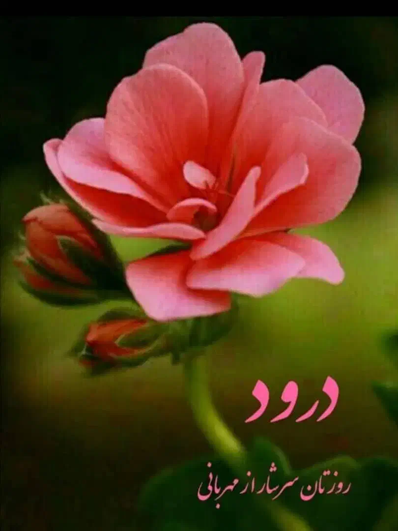 فروش زمین بر بلوار. ورودی ملکشاهی|فروش زمین و ملک کلنگی|گچی, |دیوار