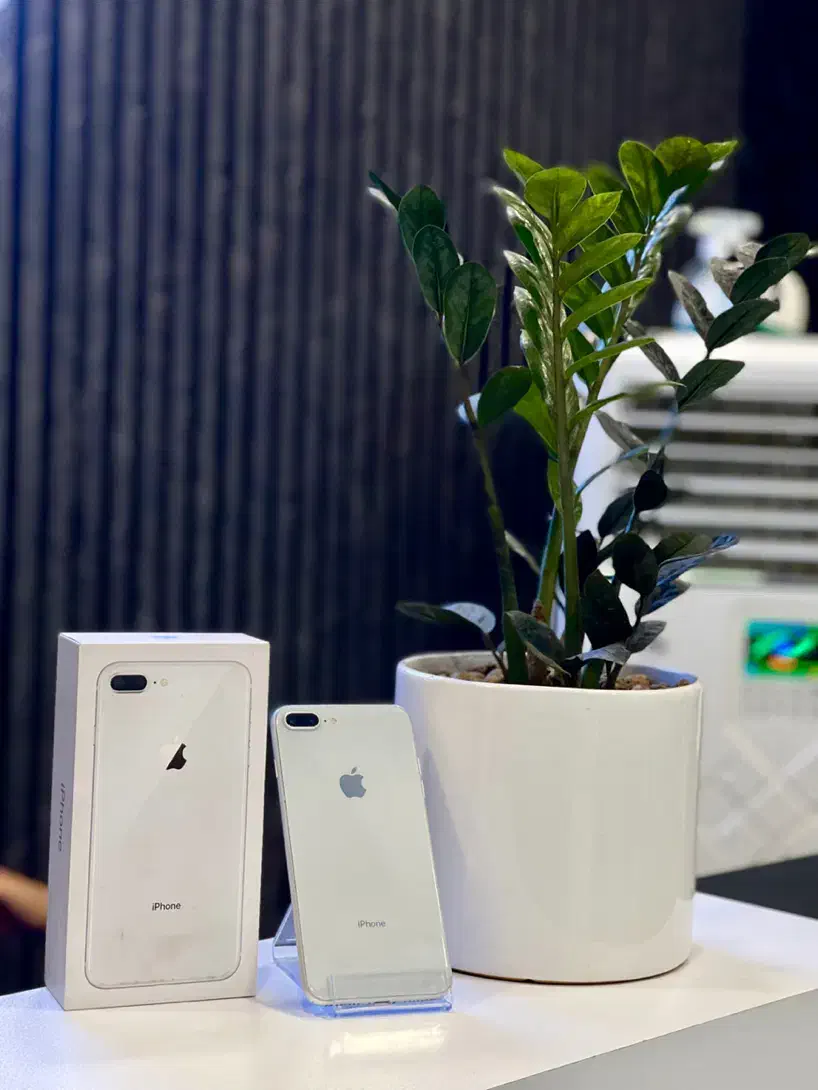 iPhone 8 Plus 64G از دم قسط و نقدی|موبایل|کرج, مهرویلا جنوبی|دیوار