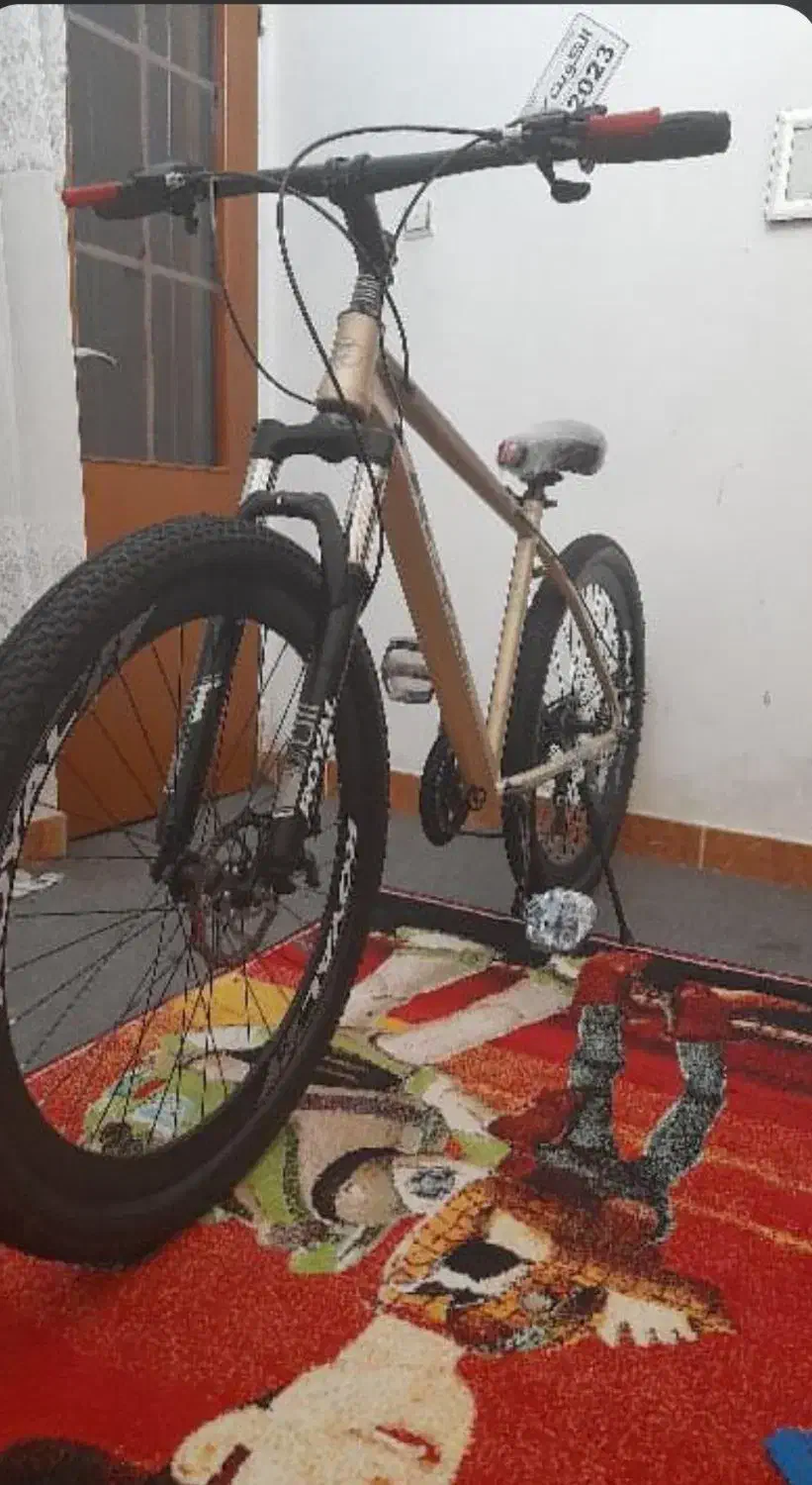 دوچرخه|دوچرخه، اسکیت، اسکوتر|رشت, دباغیان|دیوار