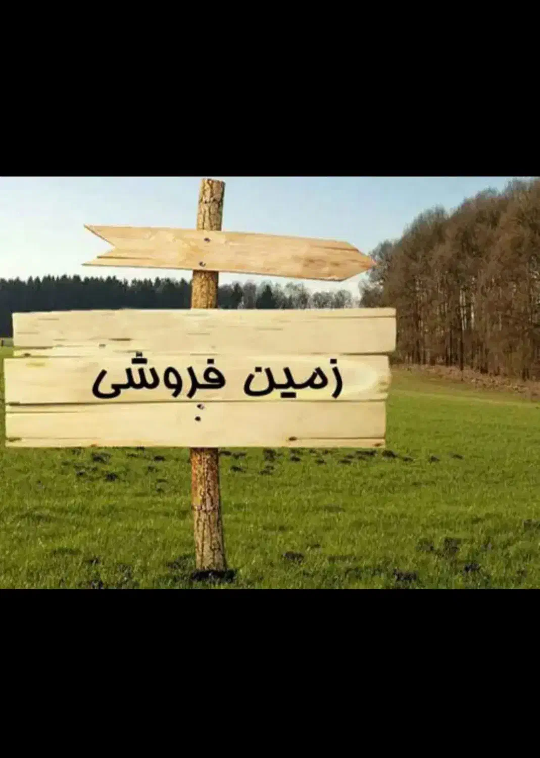 زمین کشاورزی|فروش دفتر صنعتی، کشاورزی، تجاری|گنبد کاووس, |دیوار