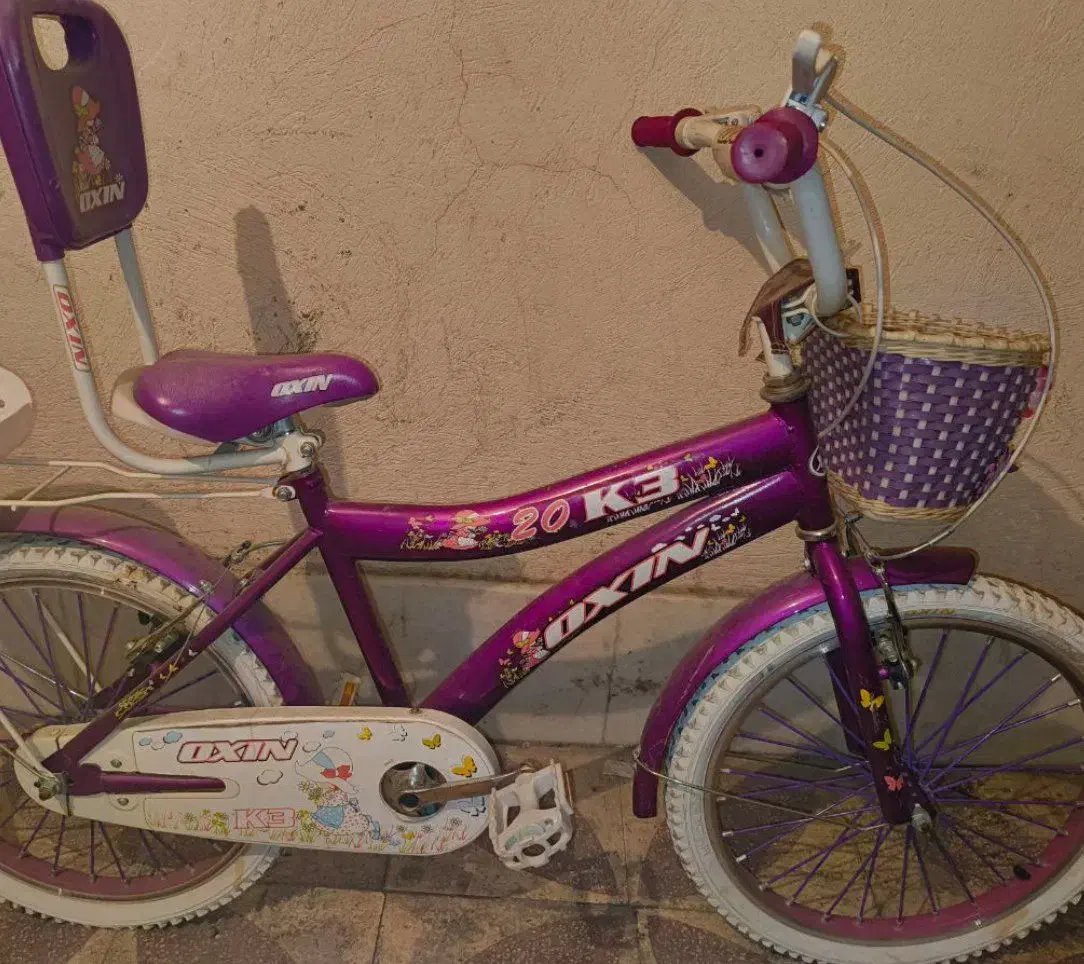 دوچرخه دخترانه بنفش سایز 20|دوچرخه، اسکیت، اسکوتر|شیراز, ریشمک|دیوار