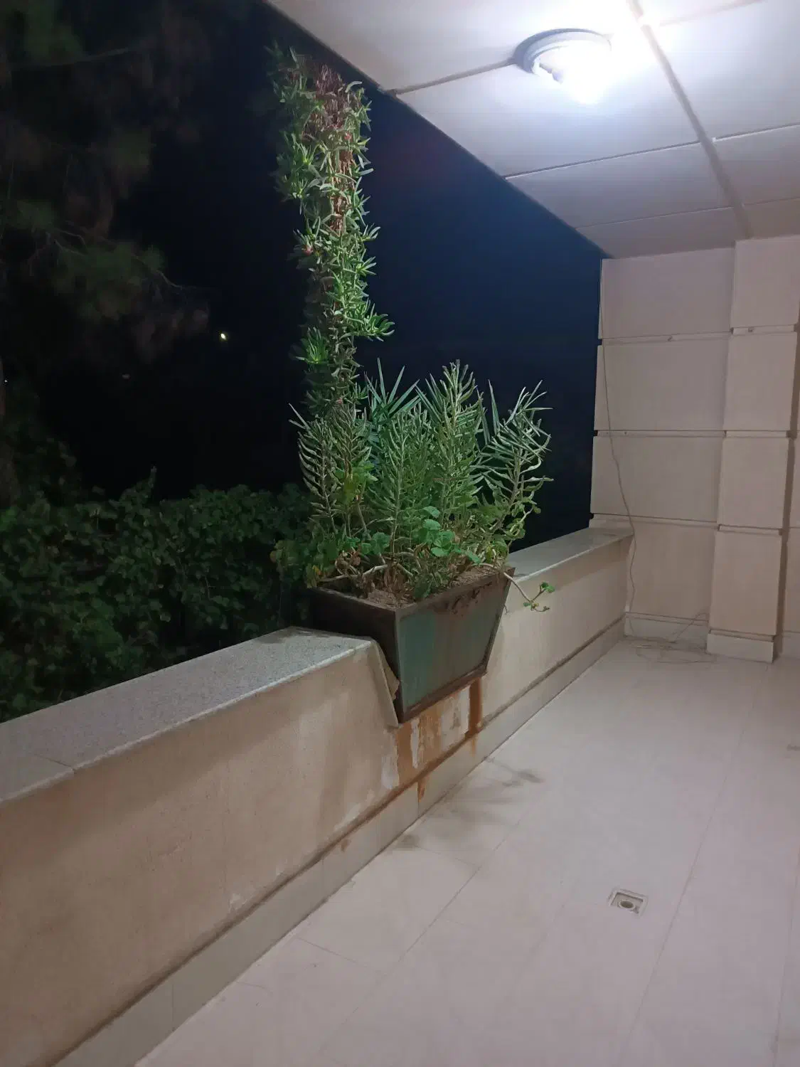 سویت آپارتمان مبله ساعتی روزانه|اجارهٔ کوتاه‌مدت آپارتمان و سوئیت|شیراز, حومه شیراز|دیوار