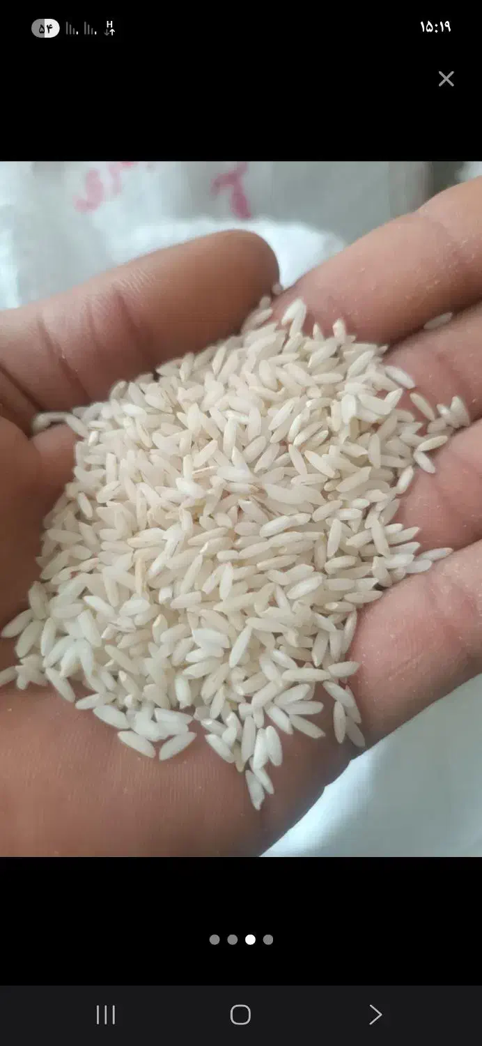 برنج محل اصل .کاظمی. موجود است .دو تن|عمدهفروشی|بروجرد, |دیوار