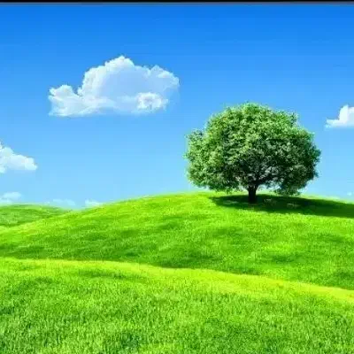 کارگر ساده ی آقا|استخدام خدمات فروشگاه و رستوران|قدس, شهرقدس|دیوار