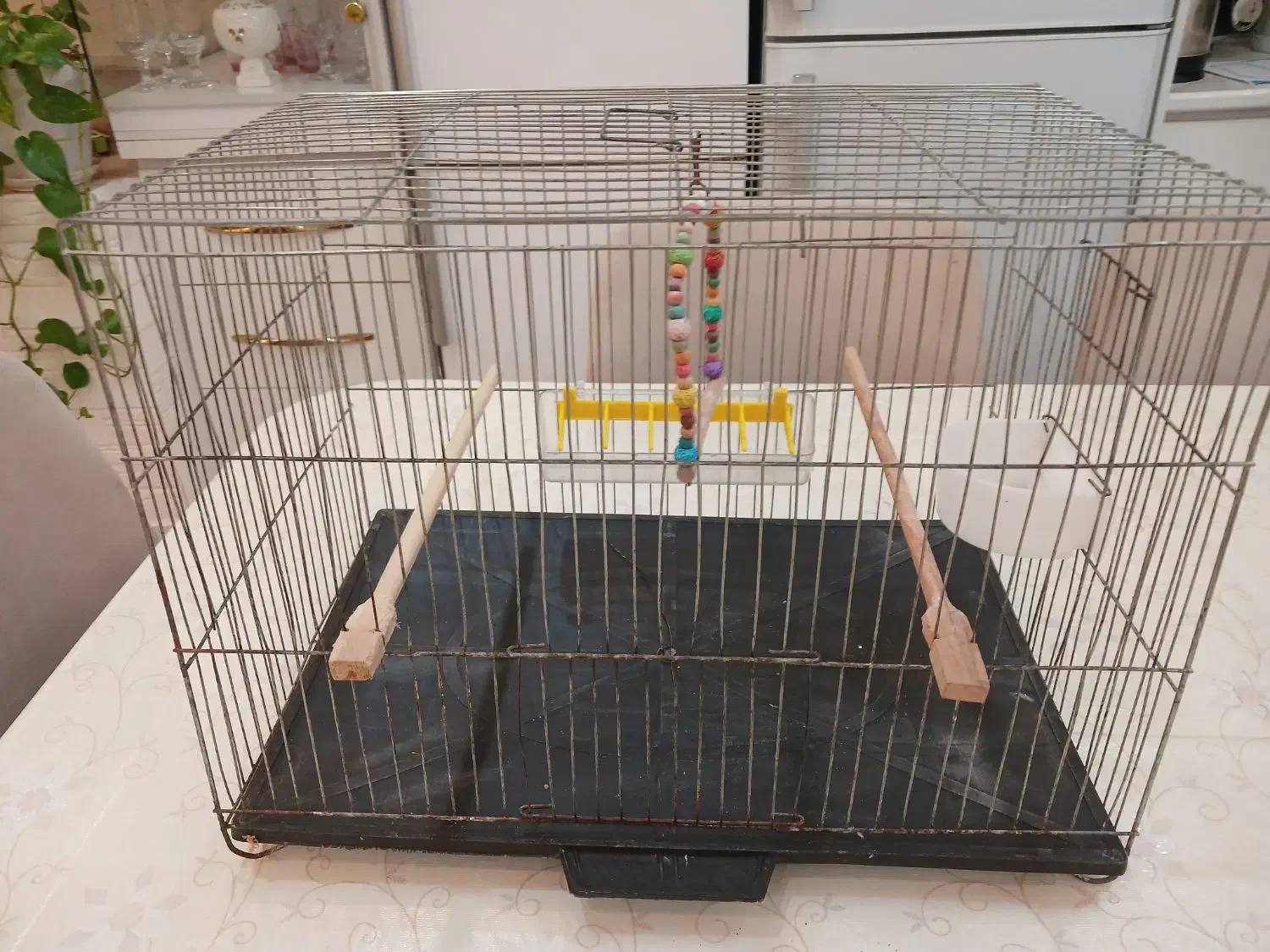 فروش قفس پرنده با تمام وسایل سایزبزرگ|لوازم جانبی حیوانات|رشت, نیروی دریایی|دیوار