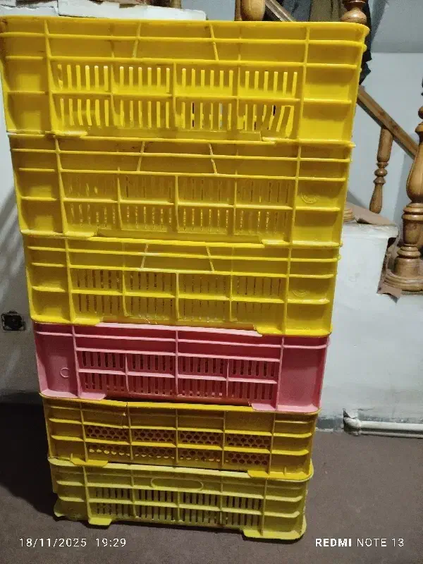 سبد|ظروف نگهدارنده، پلاستیکی، یکبارمصرف|خرمآباد, |دیوار