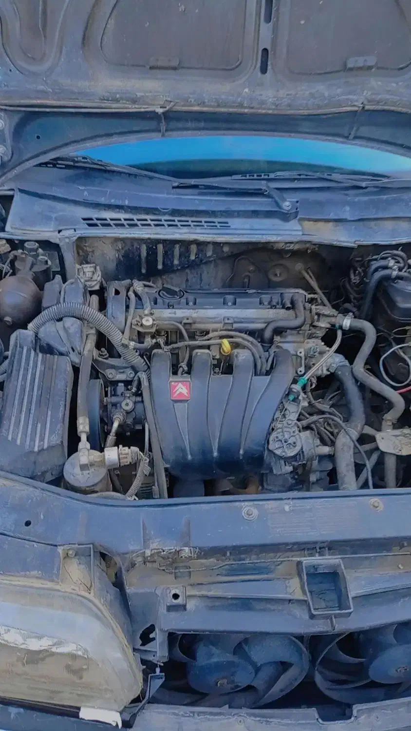 زانتیا ۸۲خوش قیمت|خودرو سواری و وانت|سیرجان, |دیوار