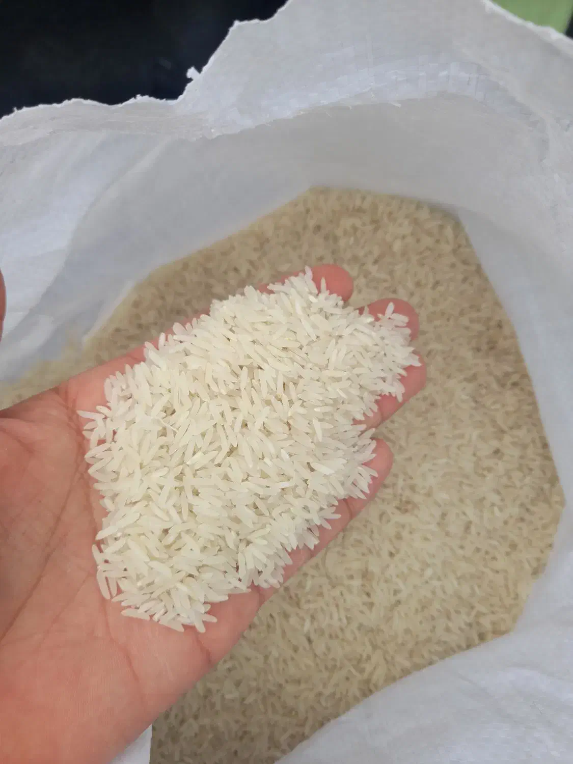 برنج فجرسوزنی|خوردنی و آشامیدنی|گنبد کاووس, |دیوار