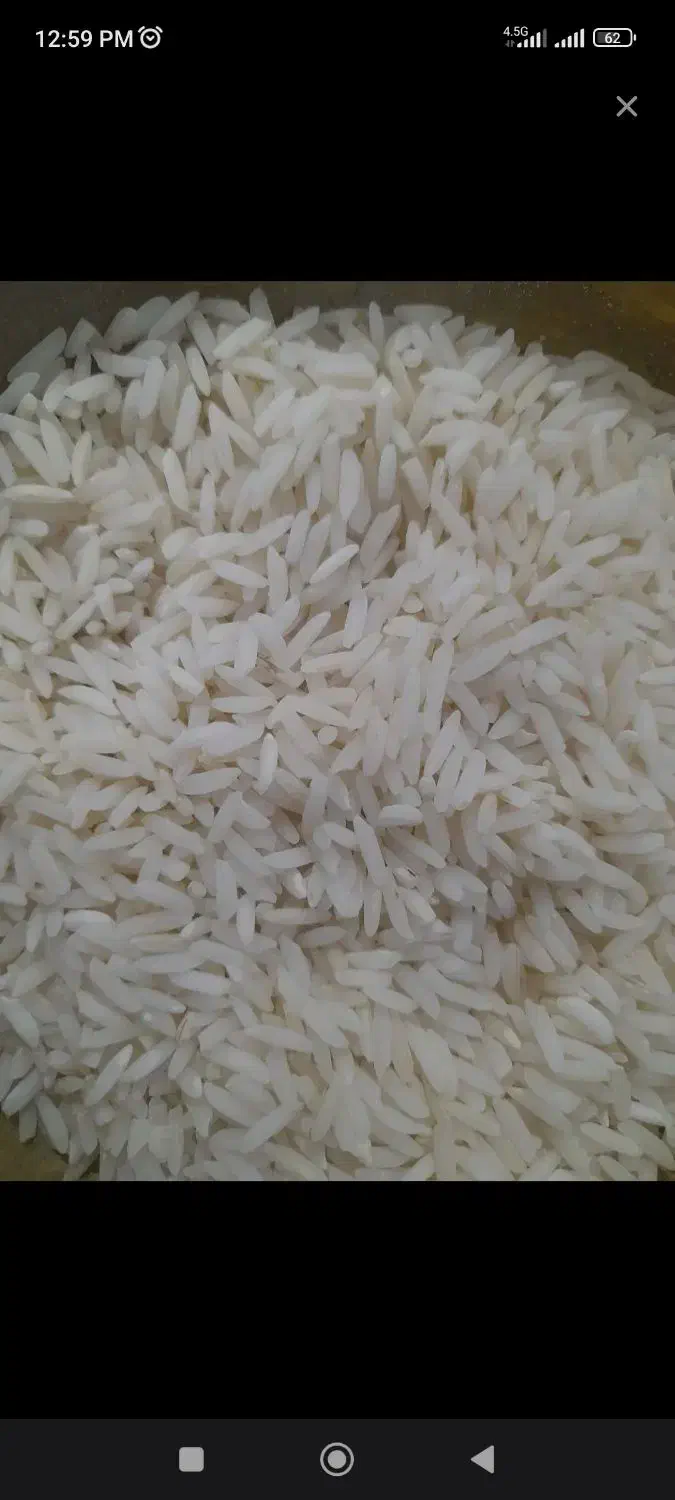 برنج هاشمی اعلا|خوردنی و آشامیدنی|کرج, چمران|دیوار