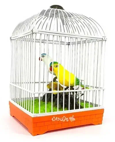 اسباب بازی قفس پرنده|اسباب‌بازی بچه|بم, |دیوار