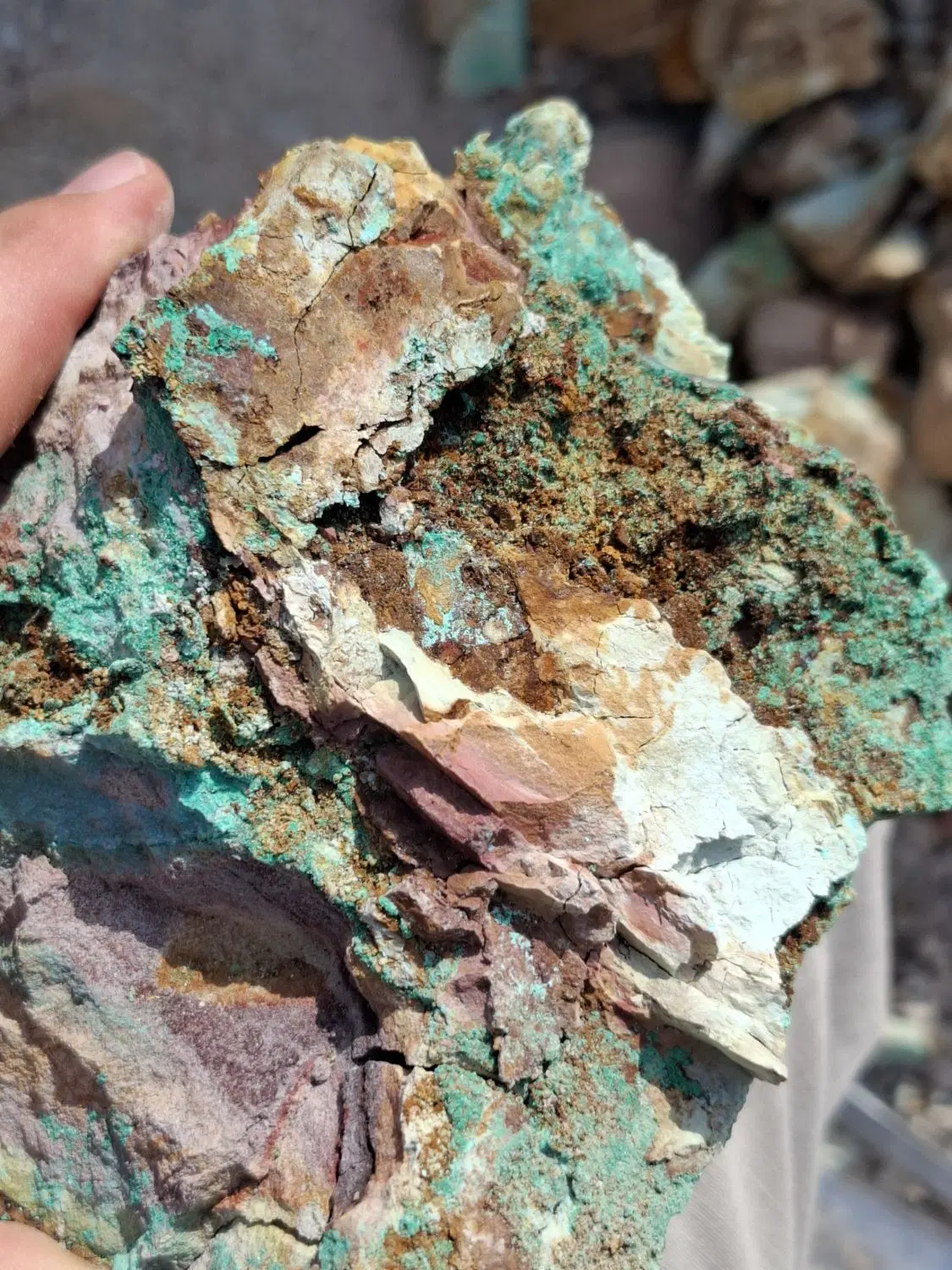 خدمات تخصصی مهندسی معدن، زمینشناسی و سرمایهگذاری|خدمات پیشه و مهارت|تهران, امجدیه (خاقانی)|دیوار