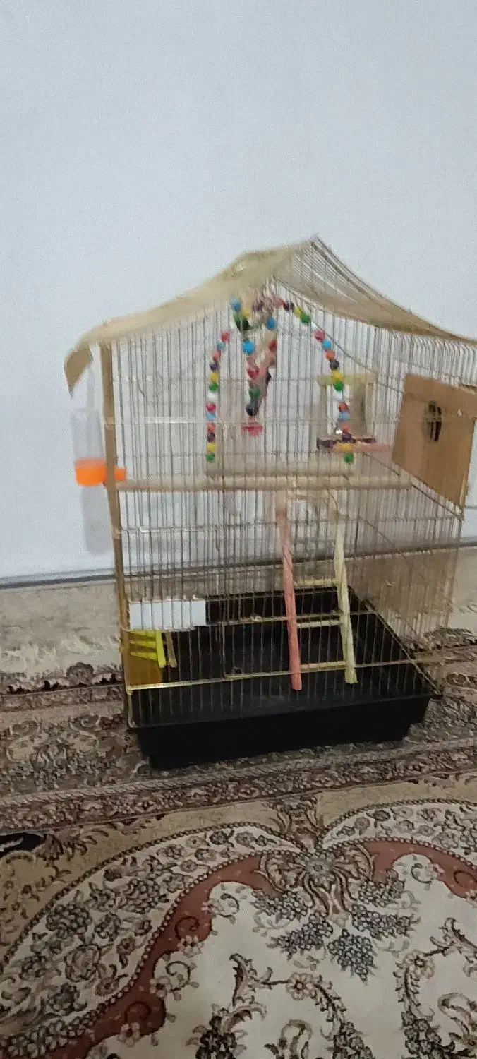 فروش قفس پرنده|لوازم جانبی حیوانات|جلفا, |دیوار