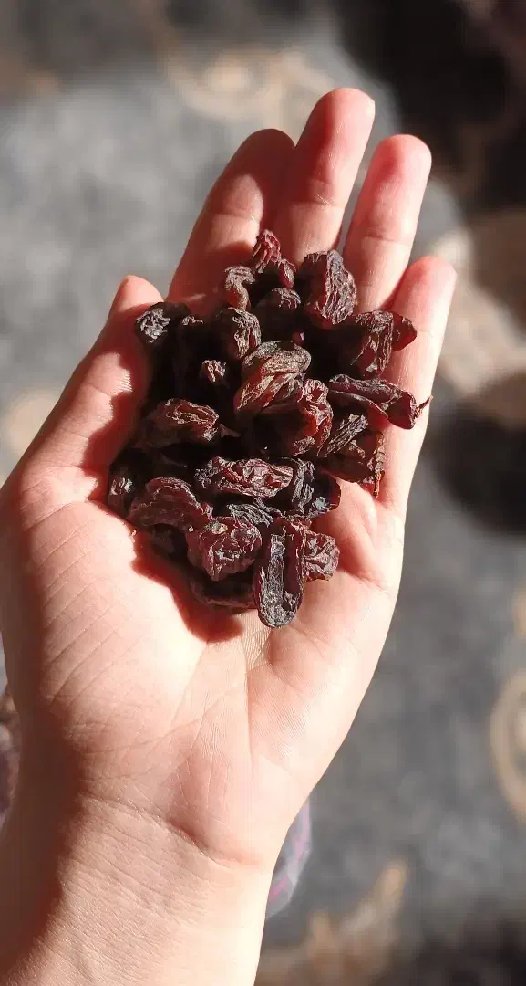 کشمش|خوردنی و آشامیدنی|محمدیه-قزوین, |دیوار