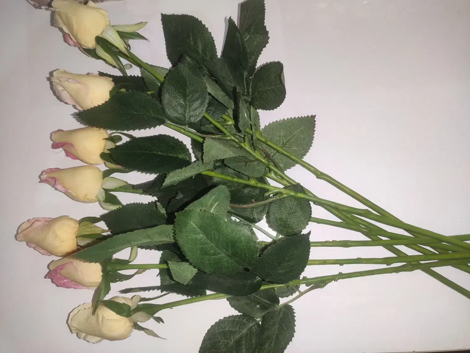 گل رز لمسی صورتی سفید|گل مصنوعی|رشت, منظریه|دیوار