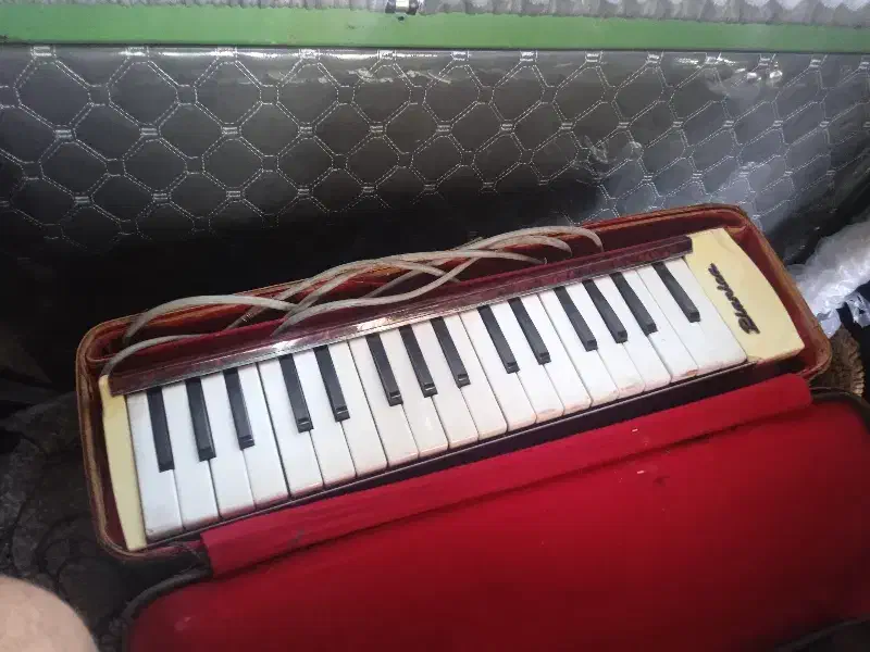 ارگ کلیسایی|پیانو، کیبورد، آکاردئون|فردیس, شهرک شهید حسینی|دیوار